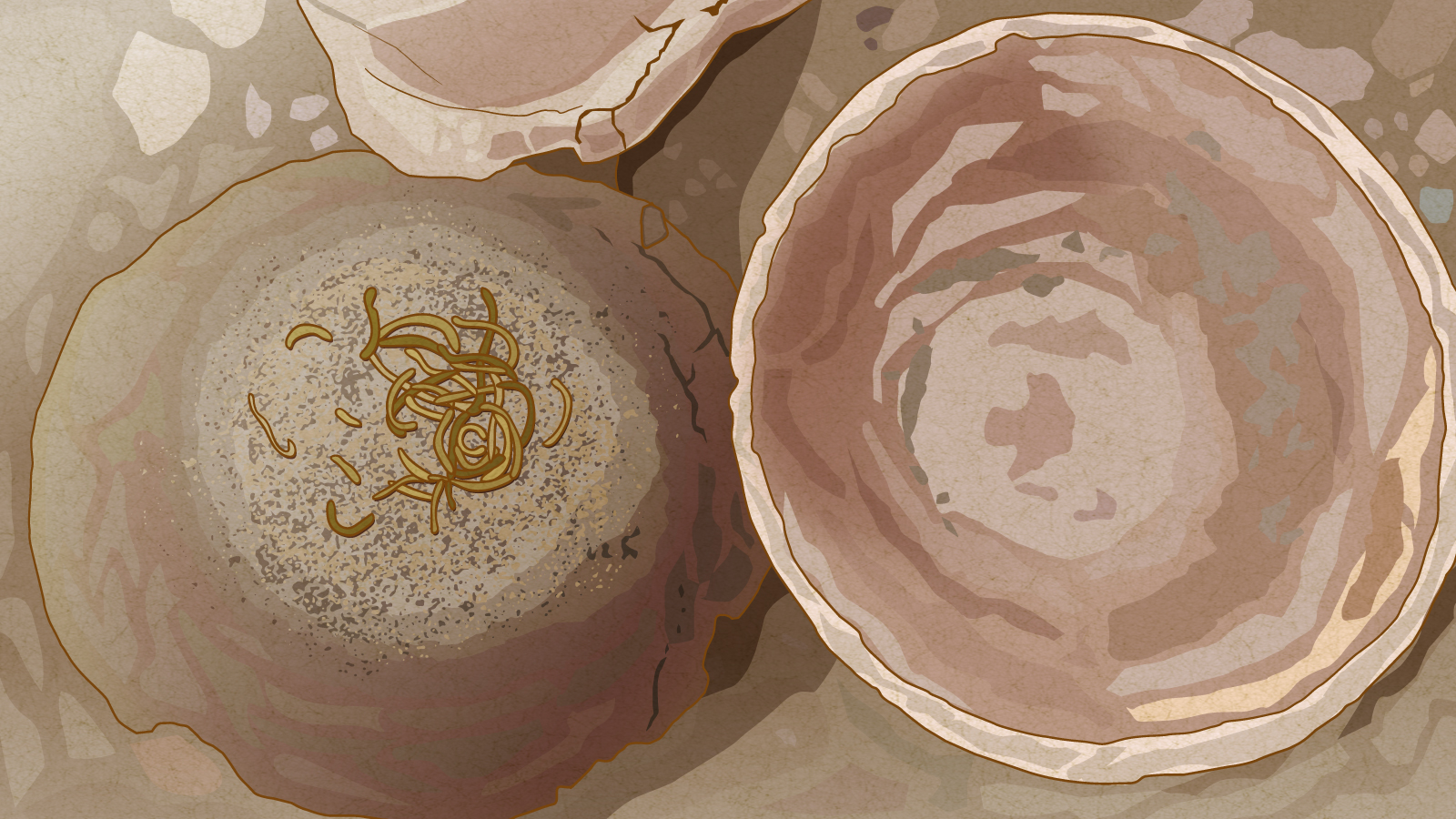 The origin of noodles & Kishimen
